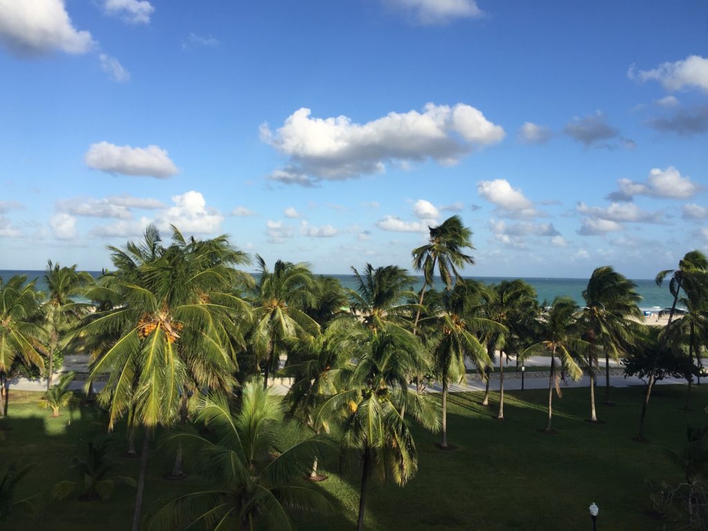 Miami Beach Trip Report - View from Crescent Resort Rooftop Deck