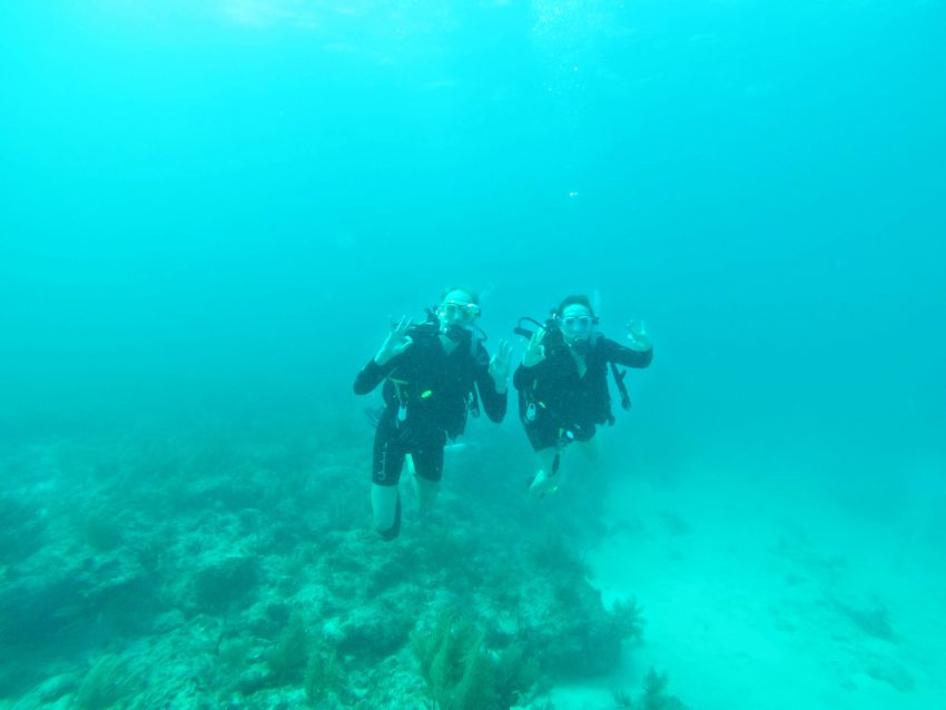 Scuba Diving | Key Largo