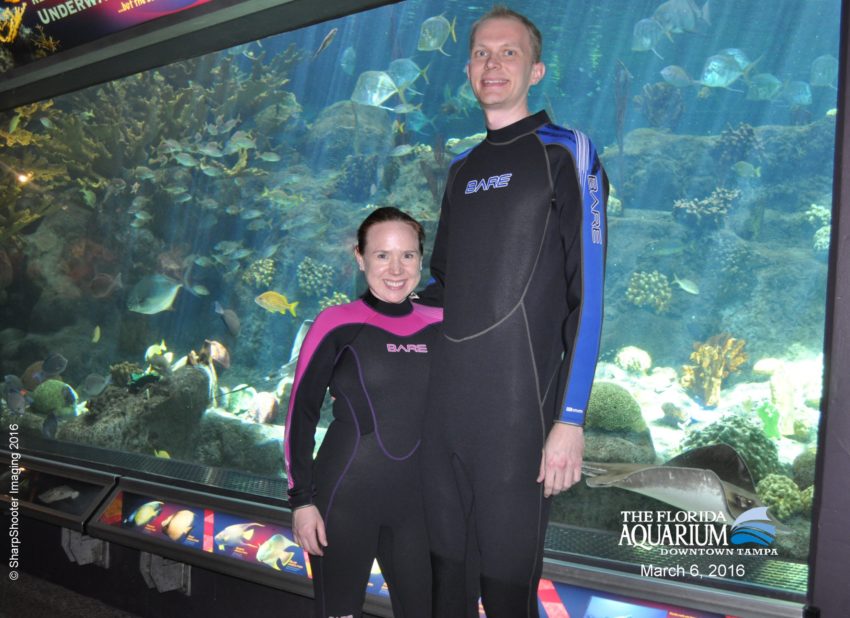 Shark Swim at the Florida Aquarium | Tampa, FL (USA) | USA Travel | Florida Travel