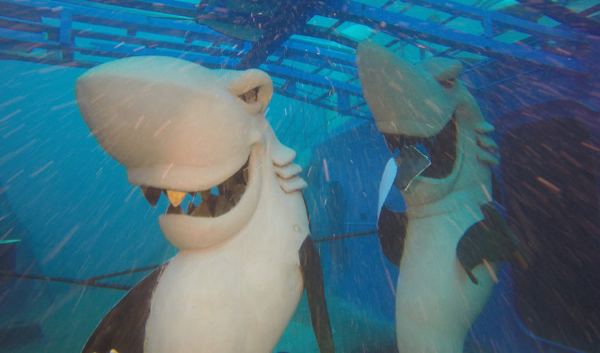 You are currently viewing Shipwreck Park Underwater Museum