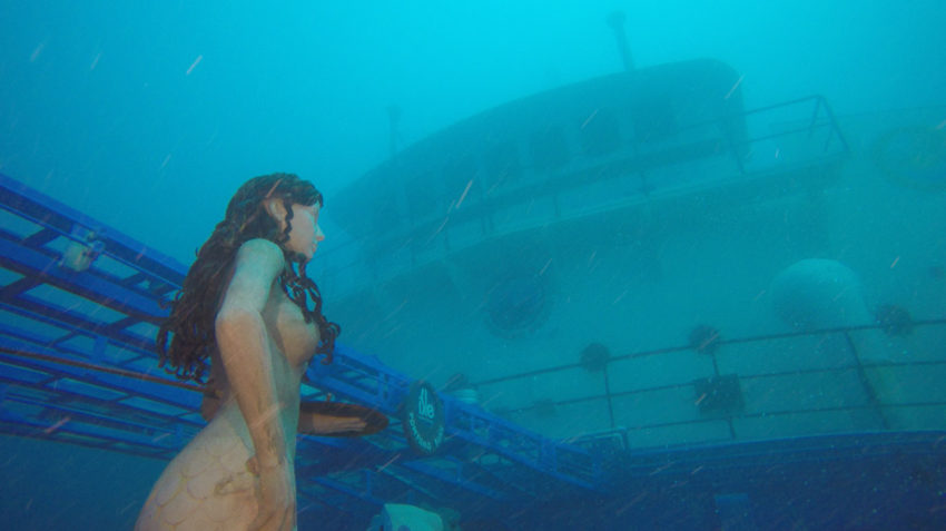 Shipwreck Park Underwater Museum | Florida | USA