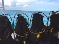 Scuba Diving in Cancun [Underwater Museum]