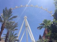 5 Non Vegas-y Things To Do In Las Vegas