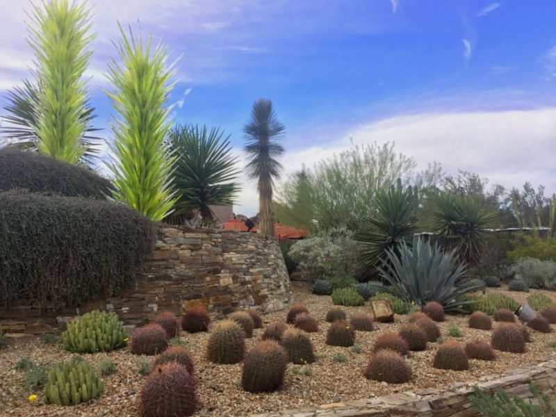 Chihuly Sculpture at Desert Botanical Garden in Phoenix