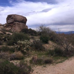 Read more about the article Hiking In Scottsdale, Arizona [Papago Park and Tom’s Thumb]