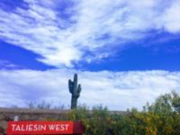 Frank Lloyd Wright’s Taliesin West [Scottsdale, Arizona]