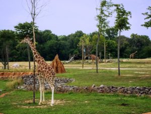 Columbus Zoo and Aquarium