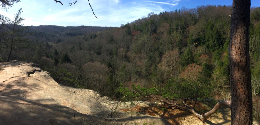 Hiking In Hocking Hills State Park | Logan, OH Conkle's Hollow Rim Trail 