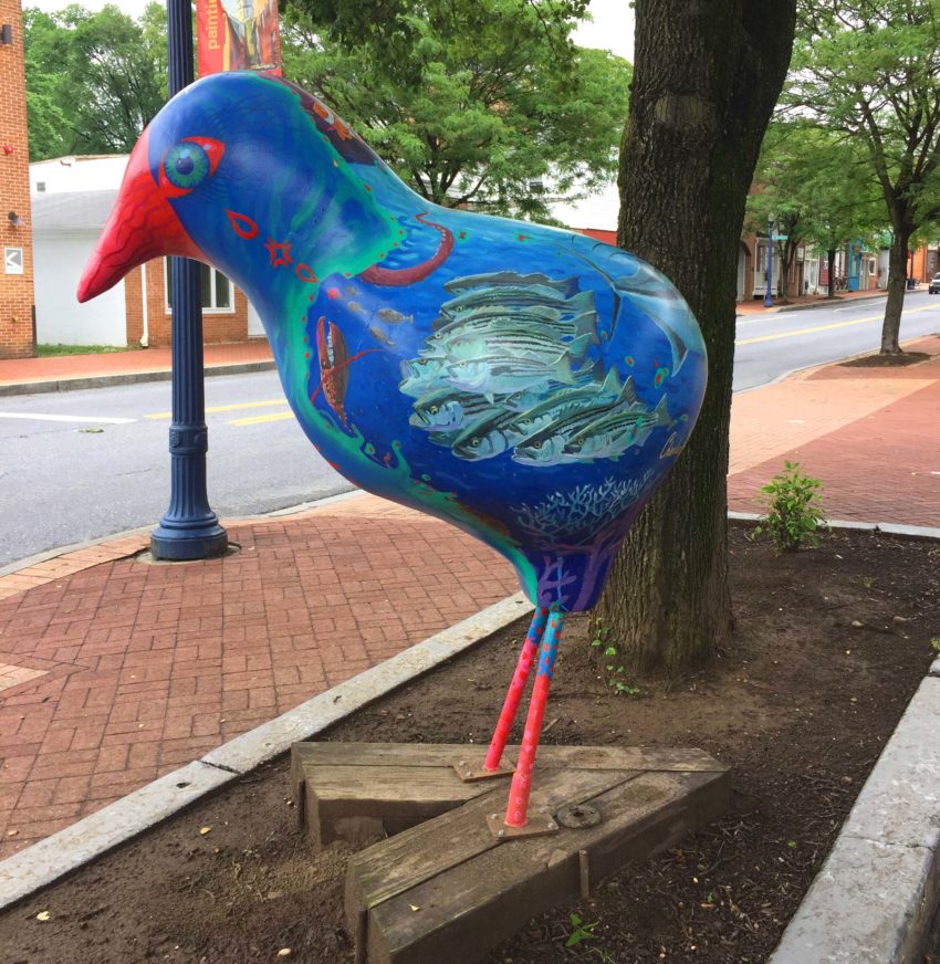 Street Art In Annapolis, MD (USA) | Annapolis Chickens
