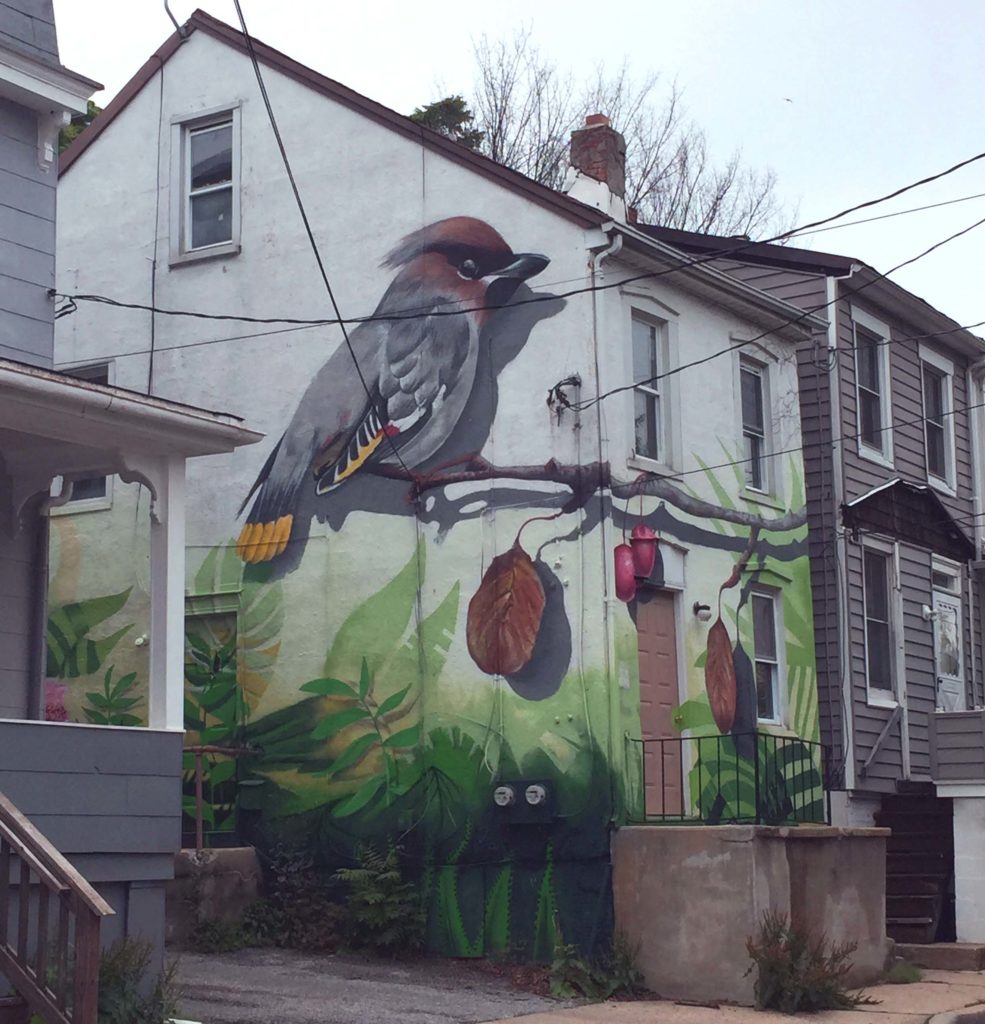 Art in Annapolis Maryland - Mural of a bird