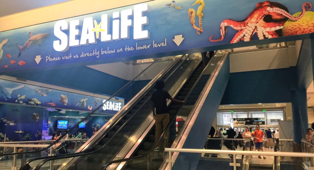 The best things to do in the Twin Cities with kids | Sea Life Aquarium | Mall of America | Minneapolis, MN (USA)