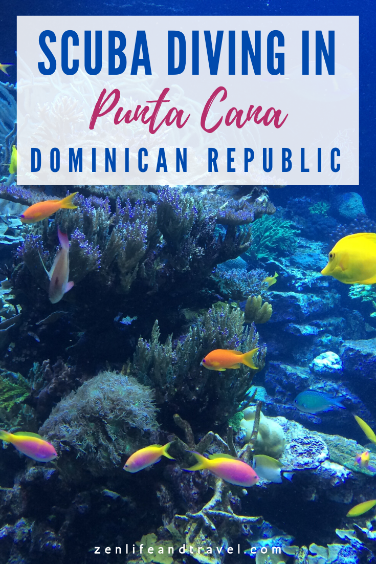 Scuba Diving in Punta Cana Dominican Republic | Options for scuba diving near Bavaro Beach including Dressel Divers and others | Scuba Diving day trips from Punta Cana