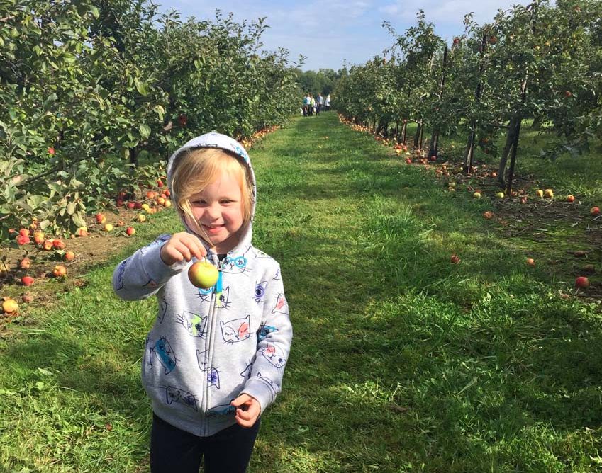 Apple Picking at Lynd's Fruit Farm near Columbus, Ohio