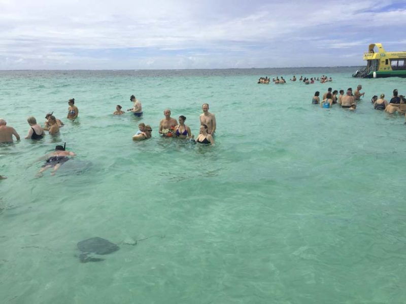 How to swim with stingrays in Grand Cayman | Stingray City 