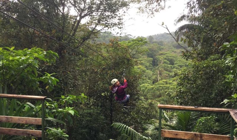 Day Trips From San Jose Costa Rica | Adrena Line Zip Line