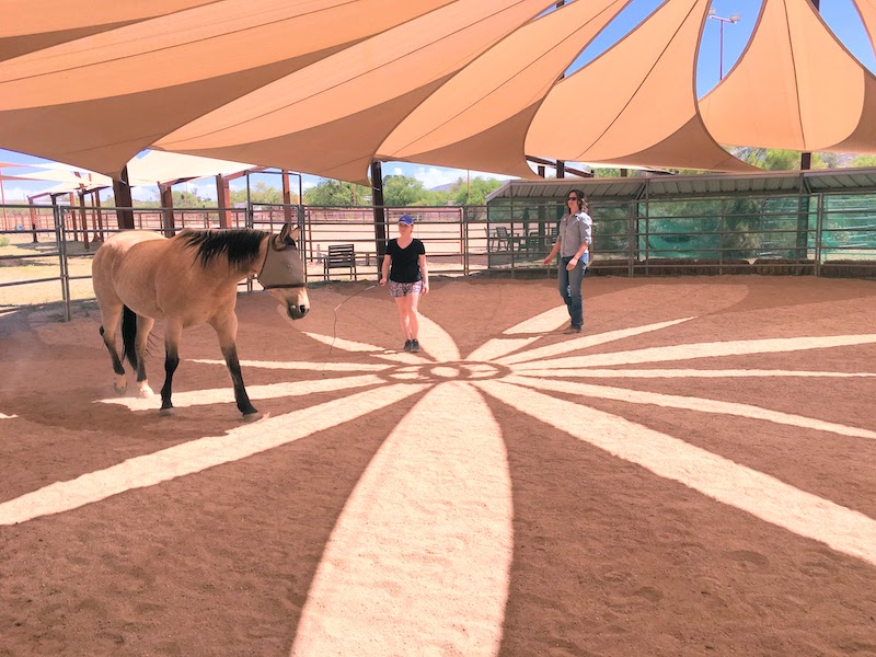 Equine Experience at Miraval Arizona