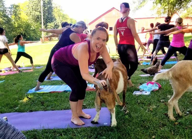 Goat Yoga Columbus Ohio at Harrison Farms