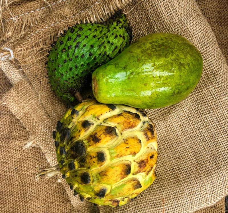 Tropical fruit tasting in Kauai