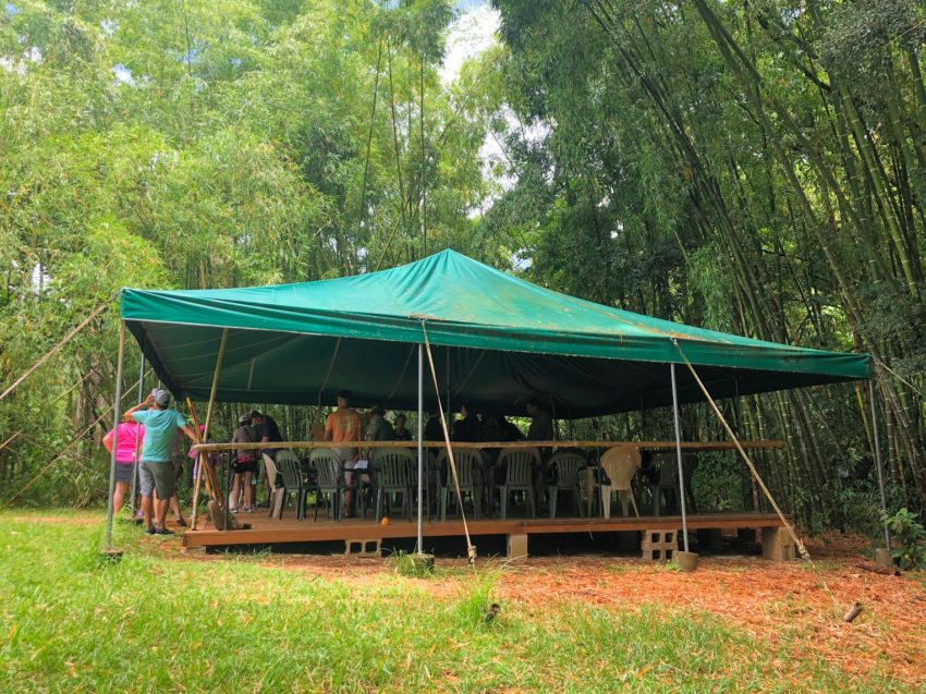 Read more about the article Kauai Chocolate Tour [A Unique Hawaiian Activity]