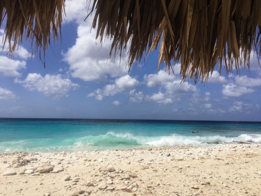 Washington Slagbaai National Park | Bonaire activities