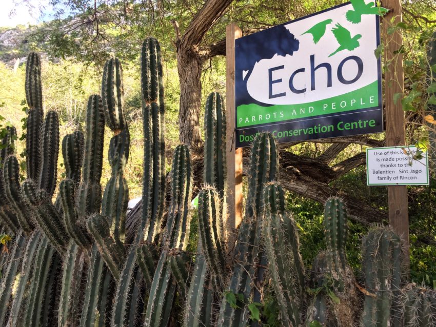 Echo Conservation Center Bonaire