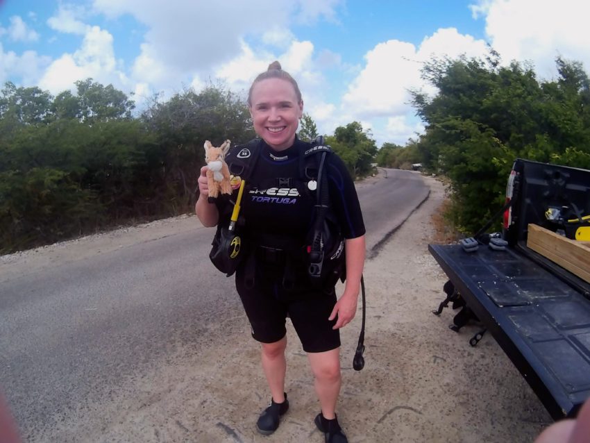 Bonaire activities - scuba diving 