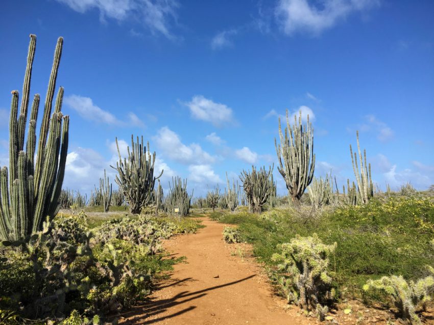 Things to do in Bonaire Washington Slagbaai National Park 