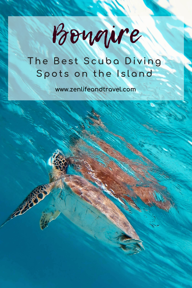 Scuba Diving in Bonaire | Shore Diving | Scuba Diving Locations In Bonaire | Caribbean Travel | #bonaire #scubadiving #shorediving #snorkeling #scubadivingbonaire #seaturtle