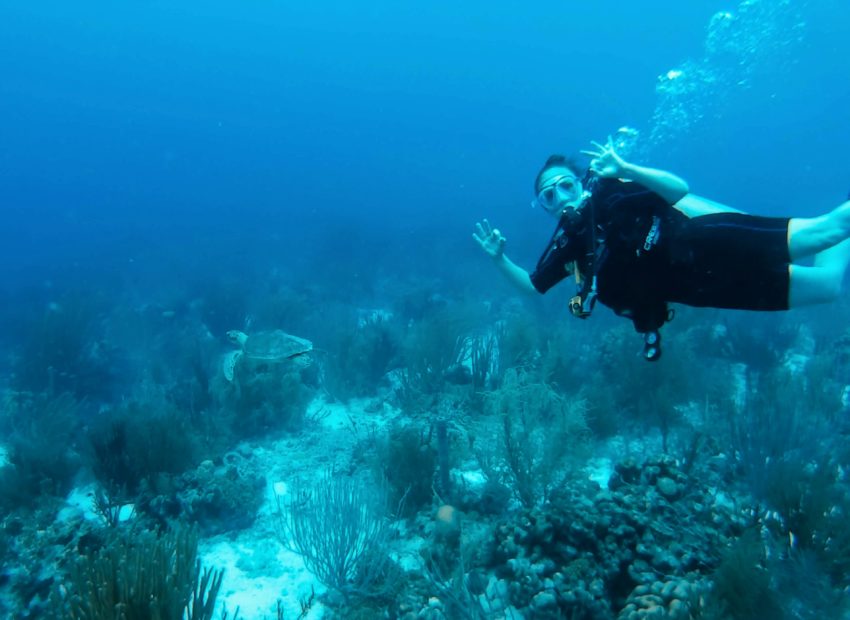 swimming with a Sea Turtle at Red Beryl in Bonaire