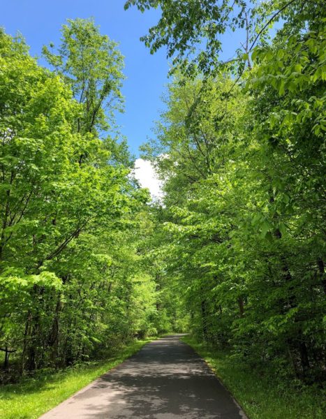 Summer at Glacier Ridge Metro Park