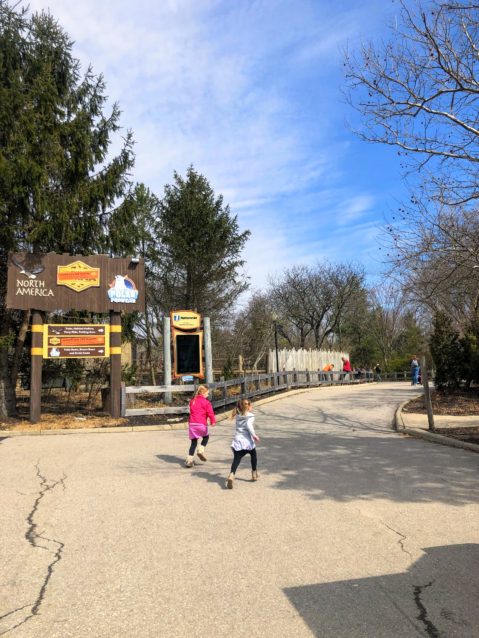 Fall at the Columbus Zoo