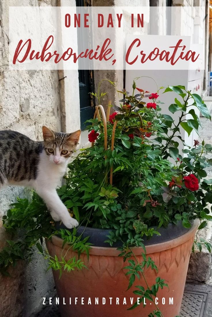 One Day in Dubrovnik, Croatia | Things to do in Dubrovnik Croatia | Old Town Dubrovnik | What to do when you stop in Dubrovnik on a Cruise | #dubrovnik #croatia #dubrovnikcats #dubrovnikcablecar #cruiseport #europe #travel #thingstodoindubrovnik #dubrovnikonacruise #onedayindubrovnik