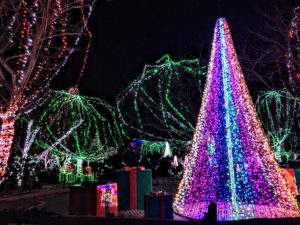 Wildlights at the Columbus Zoo