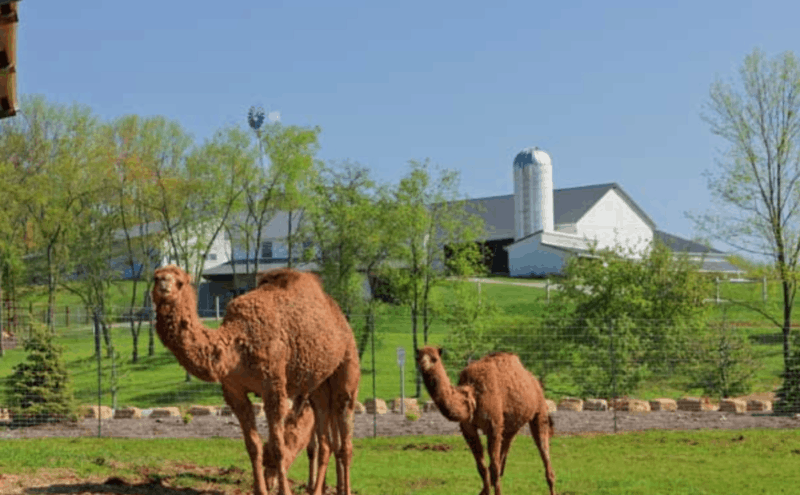 Day Trips from Columbus Ohio - Farm at Walnut Creek