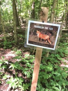 Critter Scavenger Hunt at Hayes Arboretum