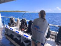 First Timer’s Guide To An Aggressor Liveaboard Trip