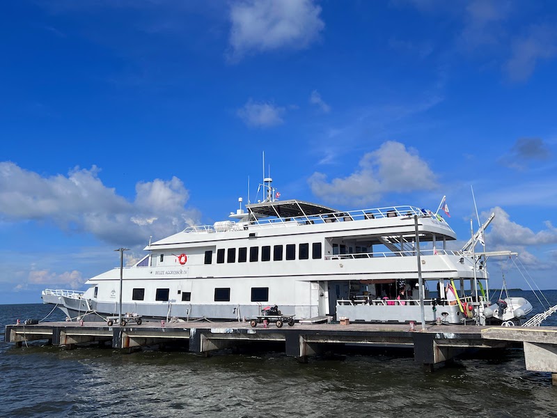 Read more about the article Belize Aggressor IV Review [Scuba Diving Liveaboard]