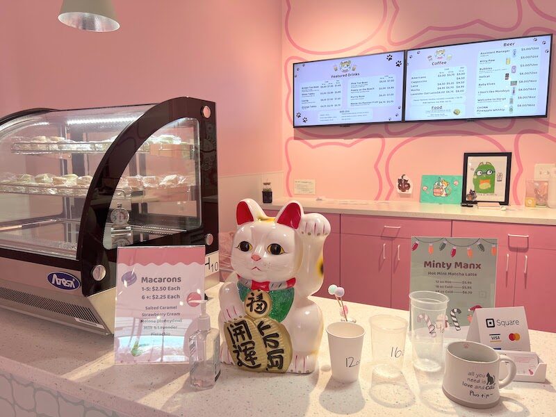 Kitty Bubble Cat Cafe food and drink menu