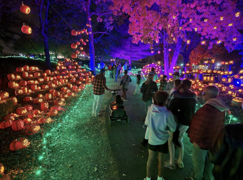 Jack O'Lantern World in Columbus Ohio