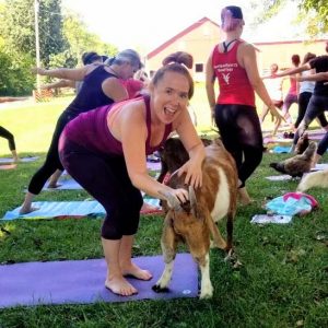 goat yoga columbus